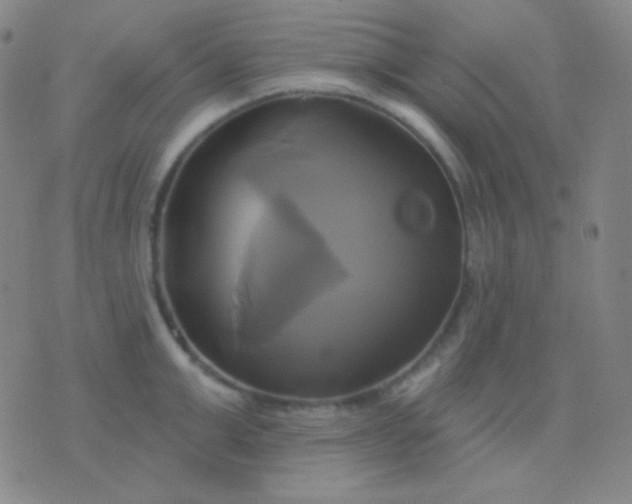 X0000076380999200610202035