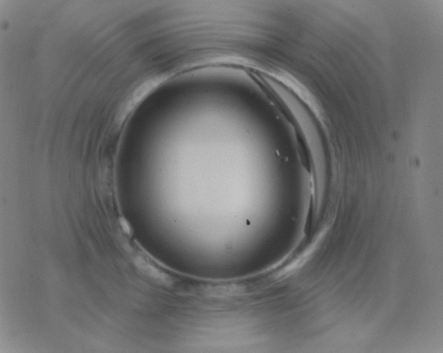 X0000076381001200610202035