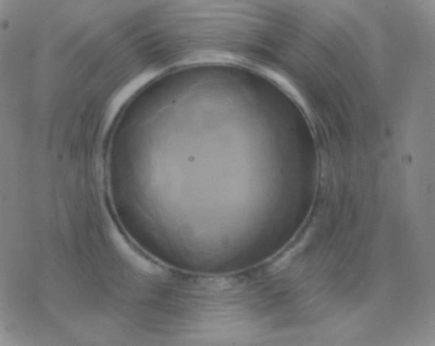 X0000076381003200610202035