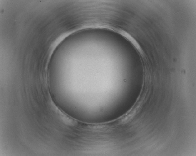 X0000076381004200610202034