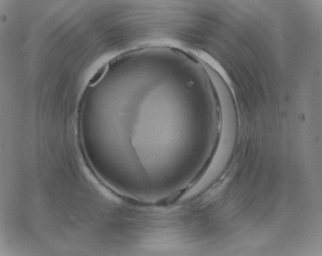 X0000076381005200610202034