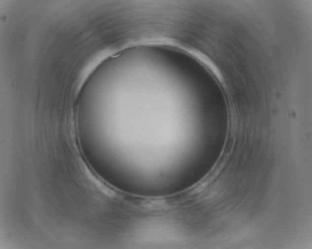 X0000076381006200610202034