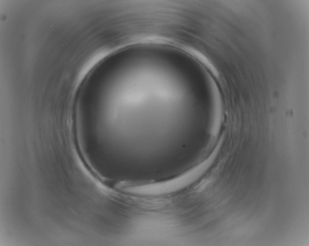 X0000076381007200610202034