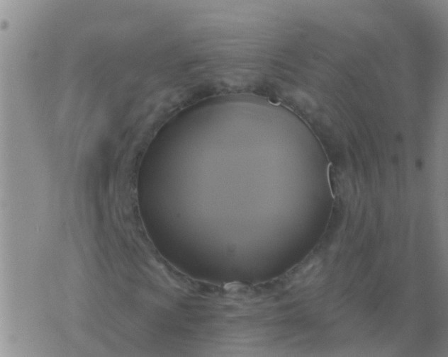 X0000076381009200610202034