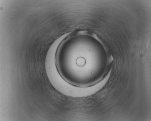 X0000076381010200610202034