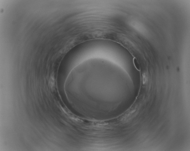 X0000076381011200610202034