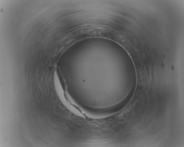 X0000076381013200610202034