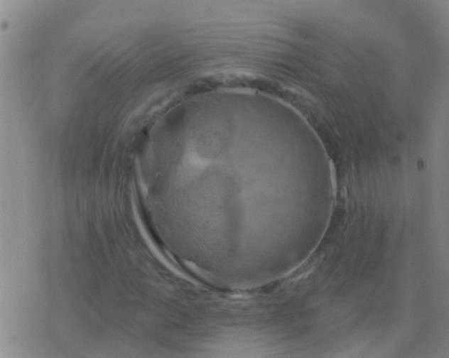 X0000076381014200610202034