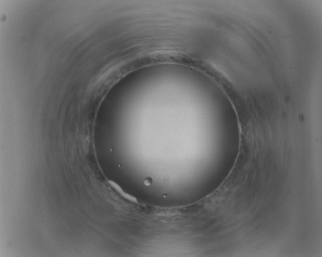 X0000076381015200610202034