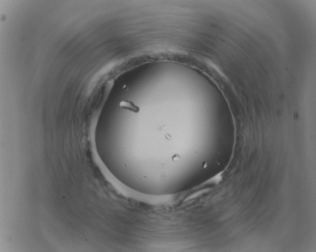 X0000076381016200610202034