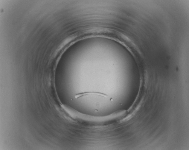 X0000076381017200610202034