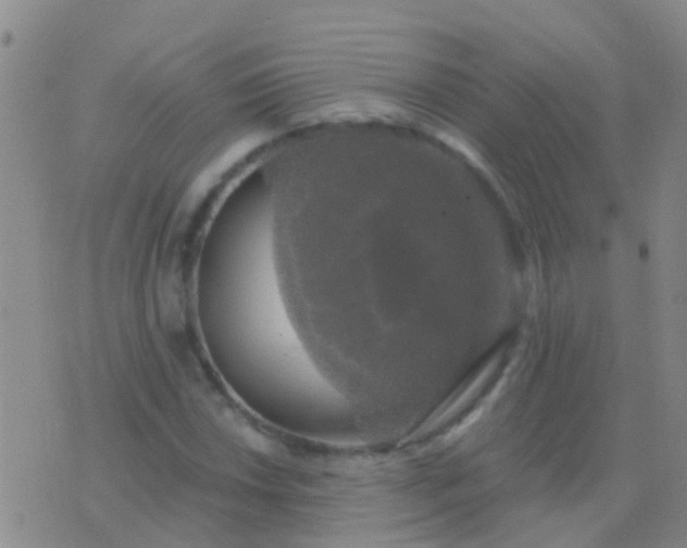 X0000076381018200610202034