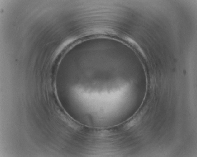 X0000076381019200610202034