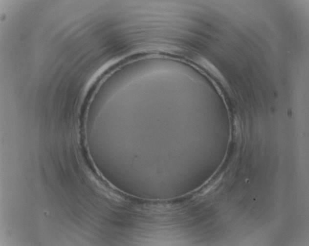 X0000076381020200610202034