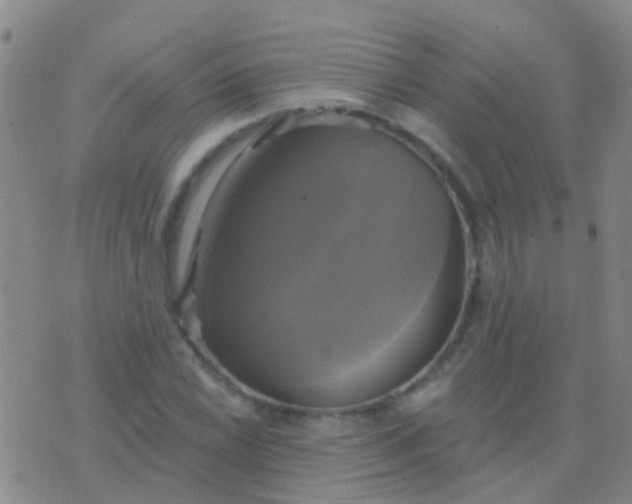 X0000076381022200610202034