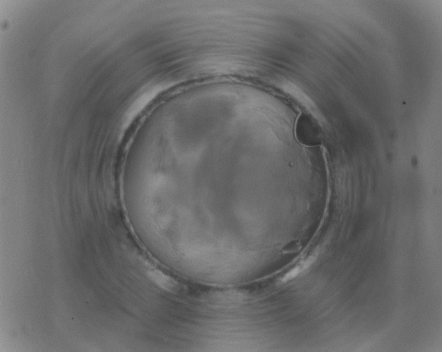 X0000076381023200610202034