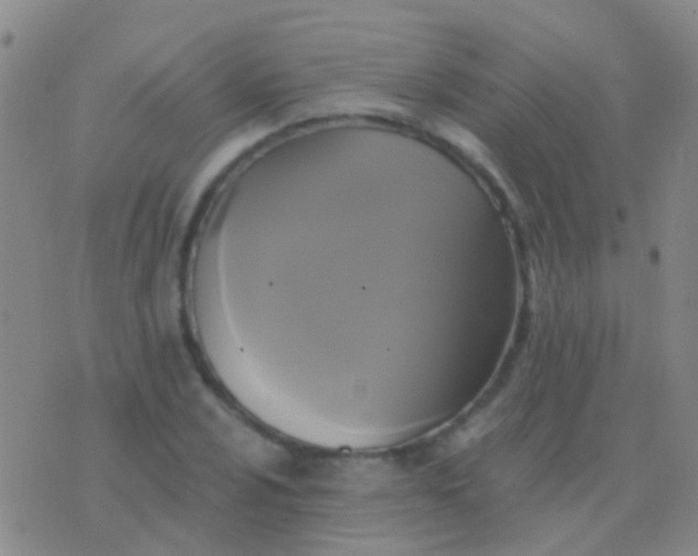 X0000076381024200610202034