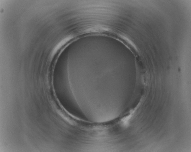 X0000076381026200610202034