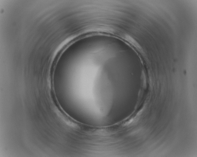 X0000076381028200610202034