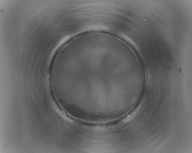 X0000076381029200610202034