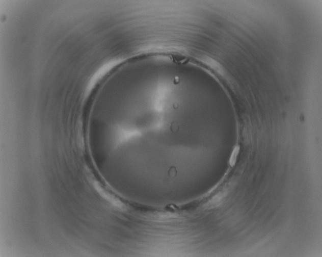 X0000076381030200610202034