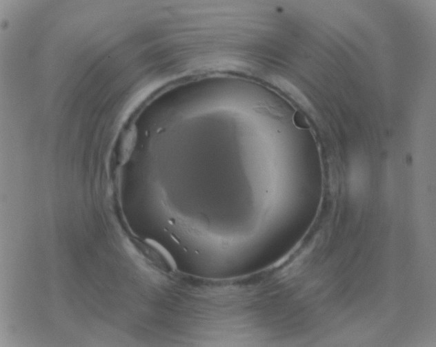 X0000076381031200610202034