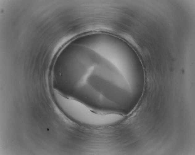 X0000076381032200610202034