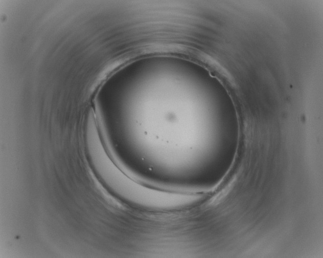 X0000076381033200610202034