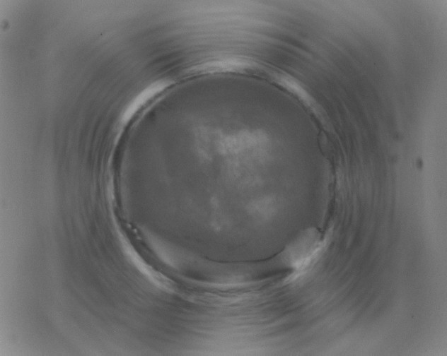 X0000076381034200610202034