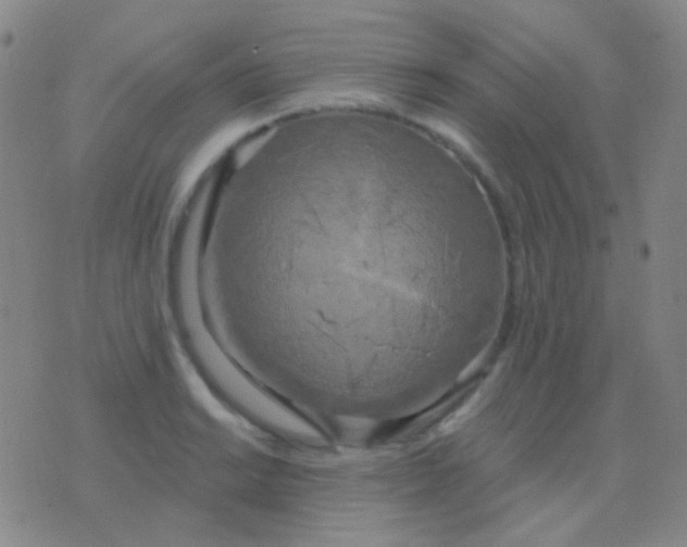 X0000076381038200610202034