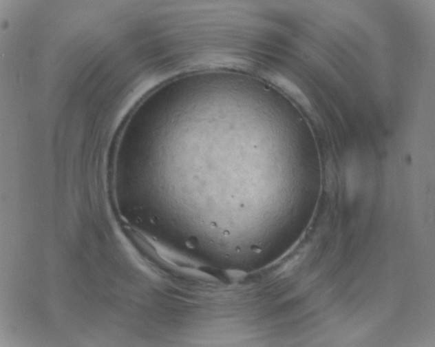 X0000076381039200610202034