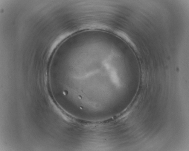 X0000076381040200610202034