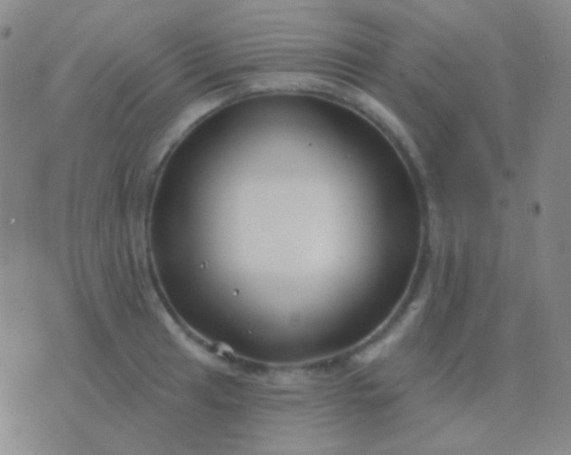 X0000076381041200610202034