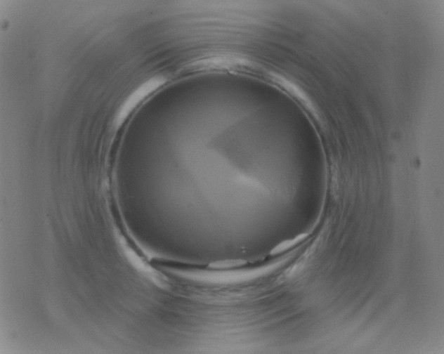 X0000076381042200610202034