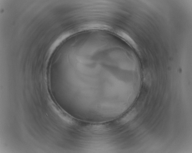 X0000076381043200610202034