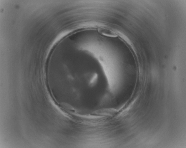 X0000076381045200610202034