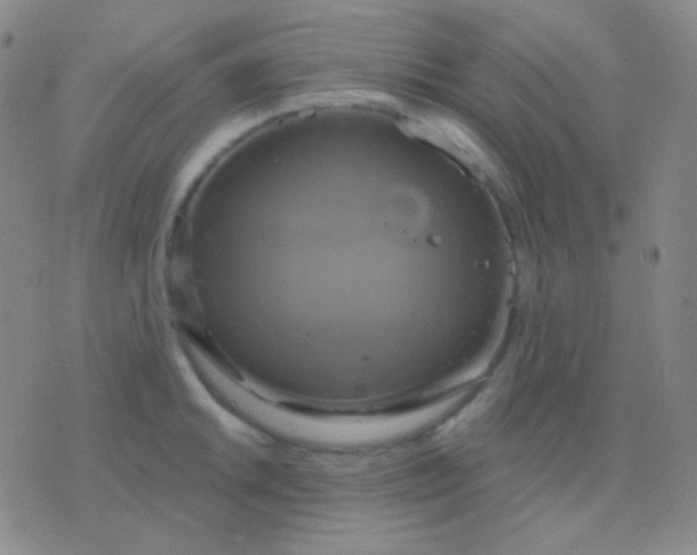 X0000076381046200610202034