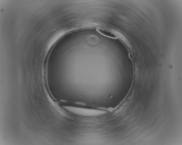 X0000076381047200610202034