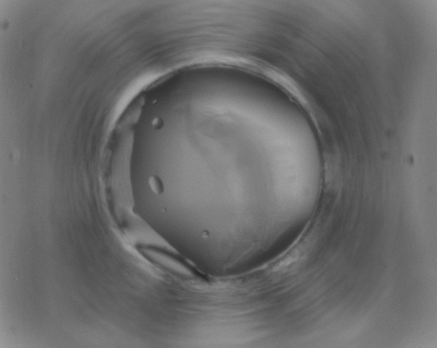 X0000076381048200610202034