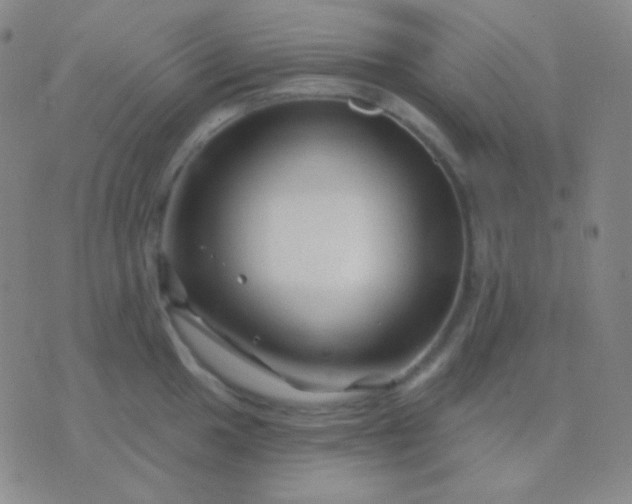 X0000076381049200610202034