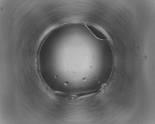 X0000076381051200610202034