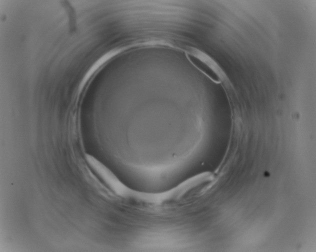 X0000076381052200610202034