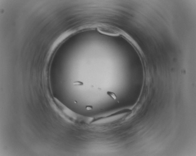 X0000076381053200610202034