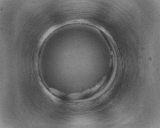 X0000076381054200610202034