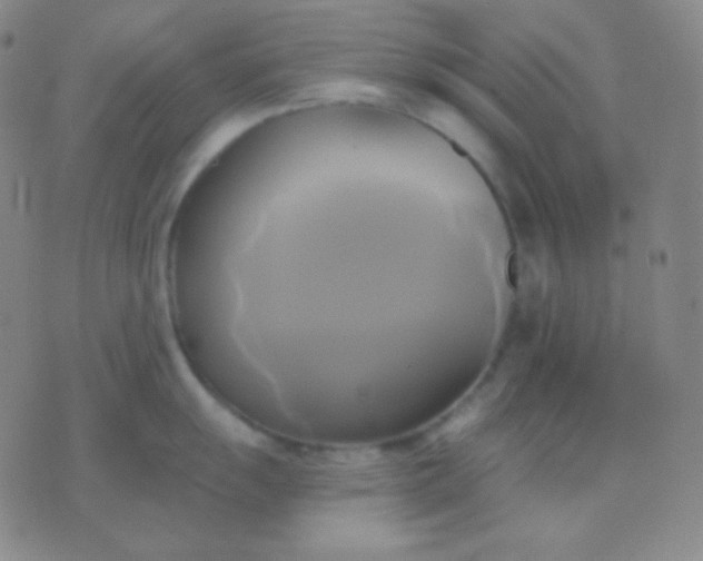 X0000076381055200610202034