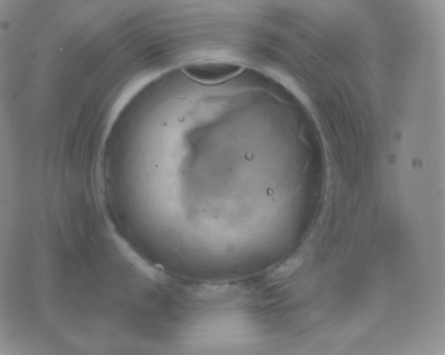 X0000076381056200610202034