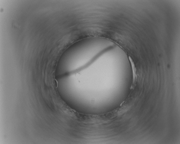 X0000076381057200610202034