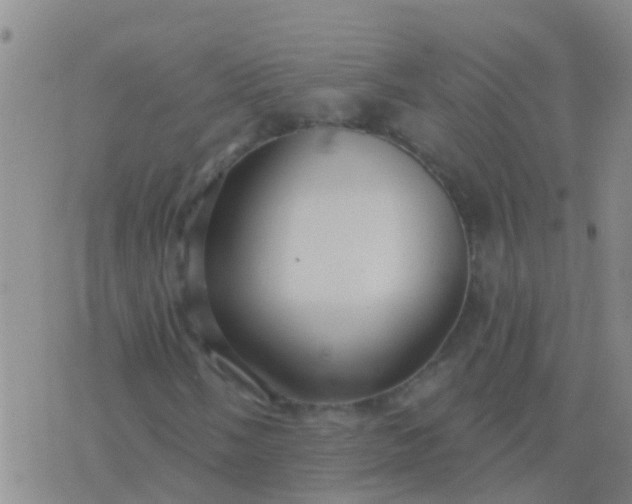 X0000076381058200610202034