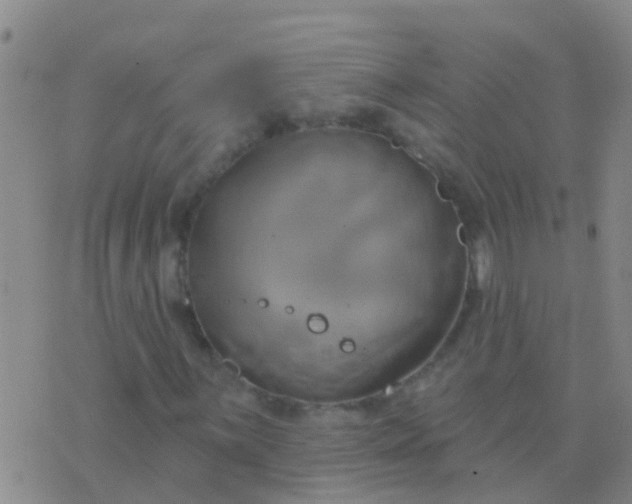 X0000076381059200610202034