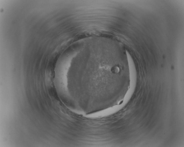 X0000076381060200610202034